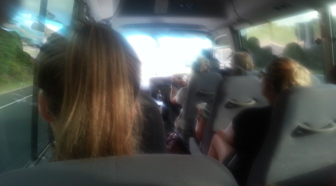 Bluesfest 2014: #1 – Bogan Survival